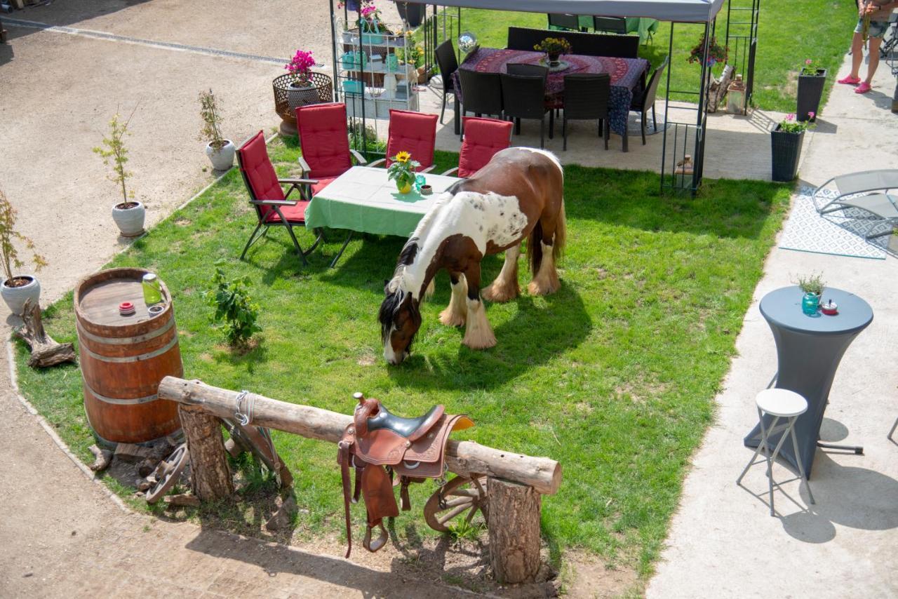 Deutsch Haslau Ranchzimmer Am Hippo-Campus Reit- Und Therapiezentrum מראה חיצוני תמונה